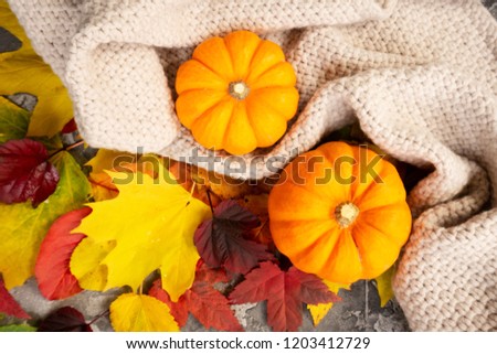 Thanksgiving pumpkins with fall leaves