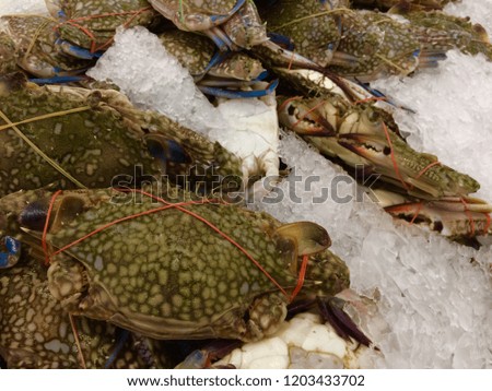 horse crab in the market.