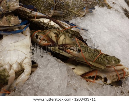 horse crab in the market.