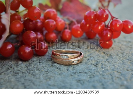 Wedding rings and autumn red viburnum 