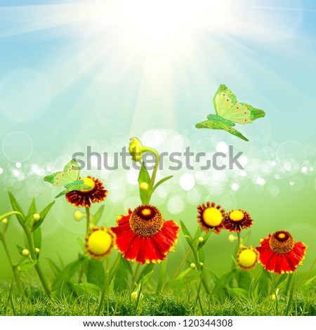 green nature background with sky