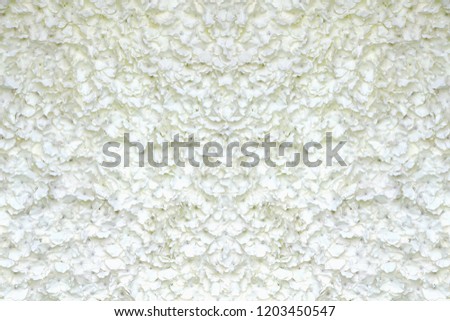 Abstract fabric white rose background.