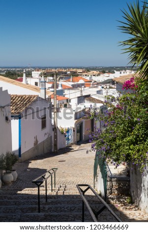 View from a hill on the historical city Estoi. Stairs lined by various blooming plants. Roofs of the residential houses. Horizon in the background and blue sky. Estoi, Portugal.