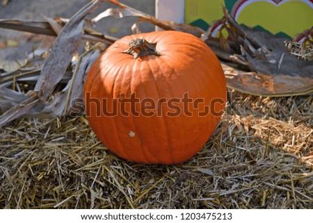 pumpkins, decorations for halloween
