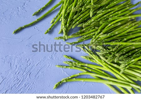 Copy space picture. Green raw asparagus sticks at the right side. Empty space for pasting text or writing title