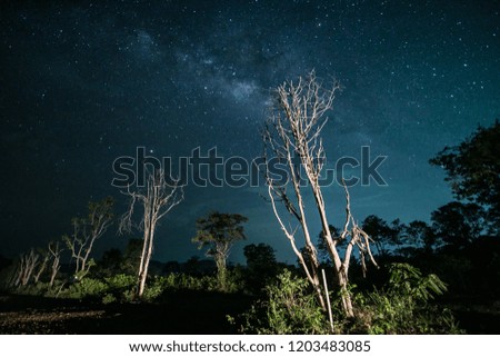 Milky Way Galaxy star at Night. Blue dark night sky with many star above field of trees, Ko Lanta Thailand. 