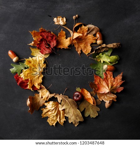 Round frame, autumn composition. Dry leaves, nuts and spices on a dark background. Top view. Copy space