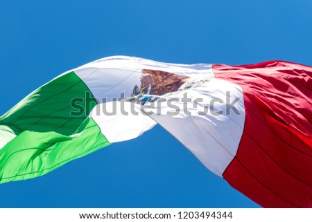 The Mexican flag flying, seen in the middle of Parque Hundido in Mexico City