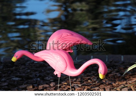 Flock of pink plastic flamingos by reflecting blue lake water for breast cancer awareness.