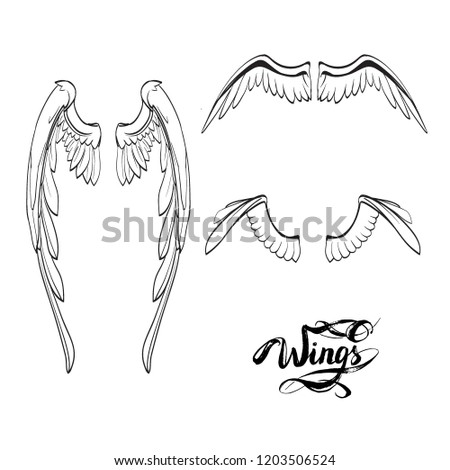 angel wings lettering vector