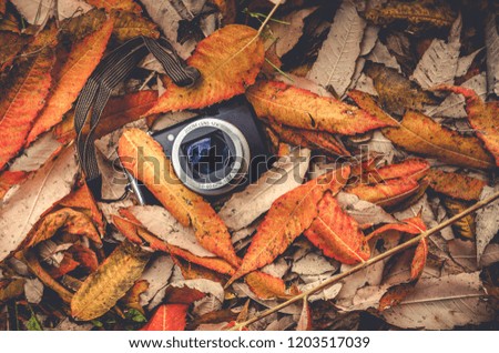 Camera in Fall autumn leaves.