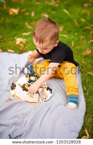 
little boy in the park smash cake on his birthday