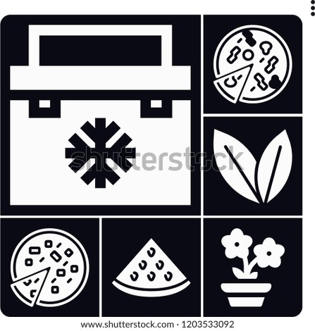 Set of 6 fresh filled icons such as pizza, watermelon, mint, fridge