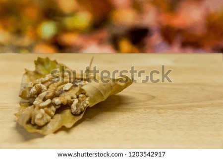 Autumn still life. A dry leave, full of nuts with space to write in