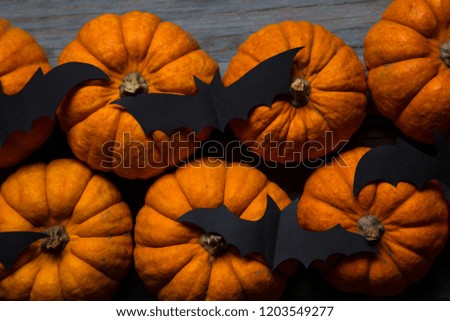Halloween pumpkins and black vampire bats on a wooden background
