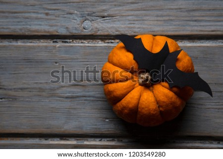 Halloween pumpkin and black vampire bat on a wooden background