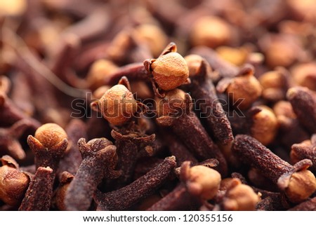Macro of spice cloves