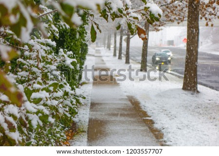 First snow in town. Trees and sidewalk covered thin layer of snow. Winter time concept. 