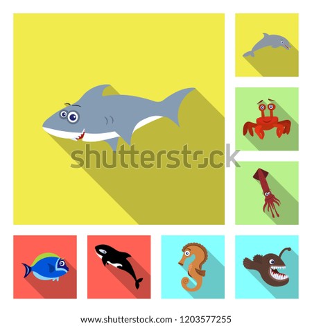 Vector illustration of sea and animal logo. Set of sea and marine stock symbol for web.