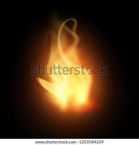 Realistic creative hot vector fire flames or blaze bonfire on dark background. Orange and yellow campfire in the night isolated on black background