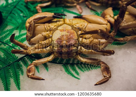 Fresh crabs on ice ready for sell in Supermarket.