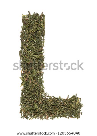 Big english capital letter L made of green fir/spruce tree leafs on white isolated background. Isolated Latin letter.