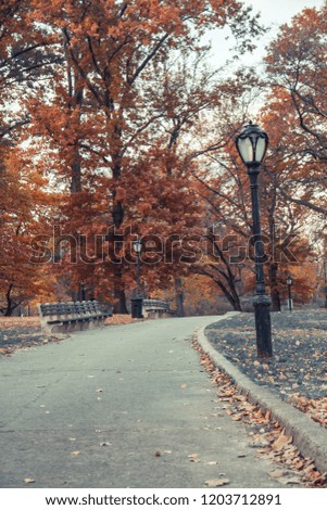 Vintage picture style of walkway with benches and light pole in autumn