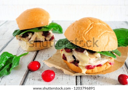 Roasted turkey sandwiches with cranberry sauce and cheese. Close up with a white wood background.