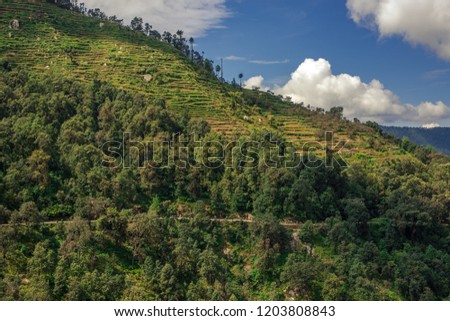 Nature Landscape in Nainital Dis., Uttrakhand
