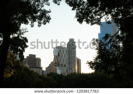 the frame of newyork in Central park