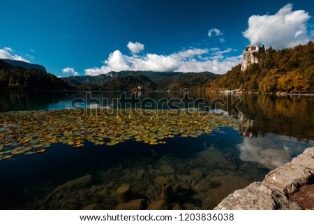 lake view and blue sky in bled