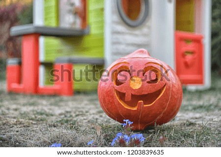 Pumpkin in the grass before the colorful children house.