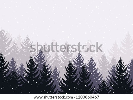 winter evening pine forest in mist. falling snow in the air. christmas theme. new year weather. background