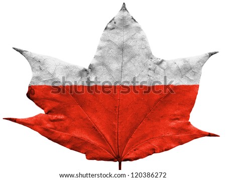 The Polish flag painted on dried autumn leaf