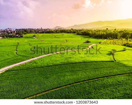 Beautiful Terraced rice field in harvest