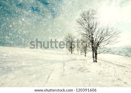 Winter landscape Royalty-Free Stock Photo #120391606
