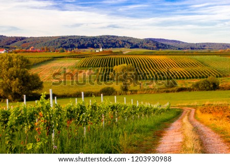 Scenic and beautiful vineyard landscape with path at the French German border of Alsace and Palatinate Region during autumn at golden hour. Royalty-Free Stock Photo #1203930988