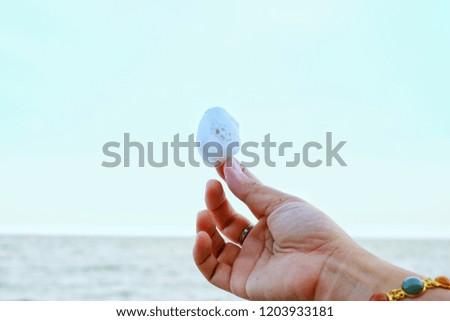 Shells on hand. Summer beach and sky background. 