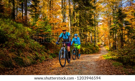 Cycling, mountain biker couple on cycle trail in autumn forest. Mountain biking in autumn landscape forest. Man and woman cycling MTB flow uphill trail. Royalty-Free Stock Photo #1203946594