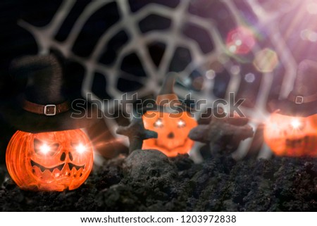 Halloween pumpkins, spiders on web .Halloween Background