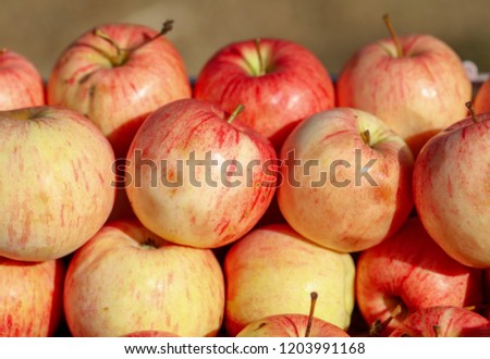 Apples are sold at the fair in the fall