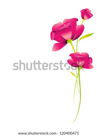 flowers design vector