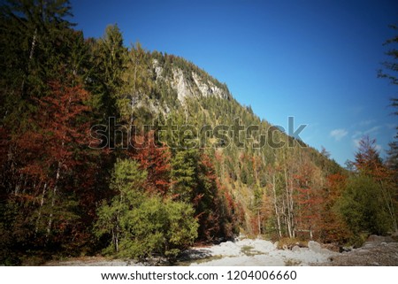 beautiful colorful autumn in the mountain on a river