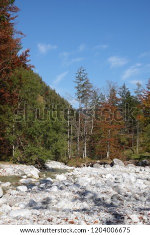 beautiful colorful autumn in the mountain on a river