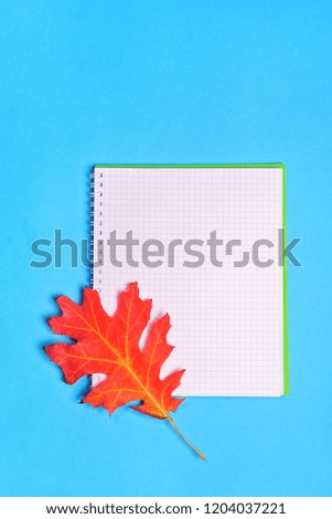 notepad and oak leaf on a blue background