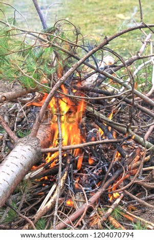 A closeup picture of a great picnic fire in the wood