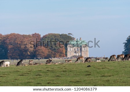 Flock of deers in the natural park Dyrehaven with the Erimitage Castle in the background.