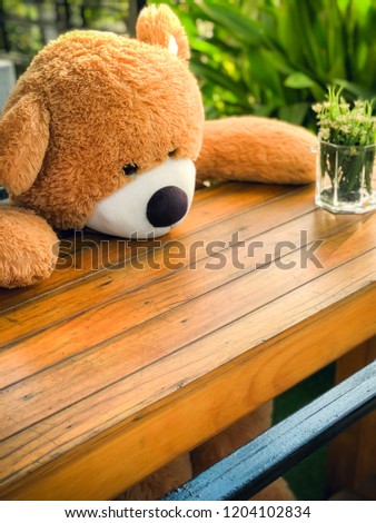 A lovely teddy bear sitting on table wooden