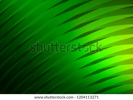 Light Green vector cover with long lines. Glitter abstract illustration with colored sticks. The pattern can be used for websites.