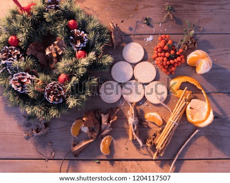 In the Mood for Christmas series. Cozy winter still life with cookies, tangerines and rowan berries evoking atmosphere of warm home, holiday season, family and happiness.